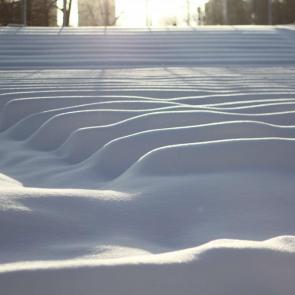 ����: ������� ����