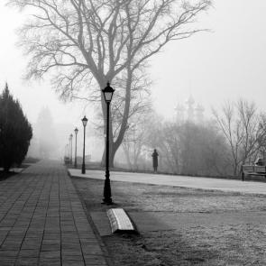 ���� ��������: 