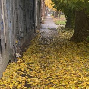 ����: ��. ������ �. ������