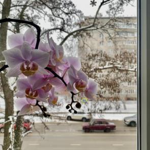 ����: ������ ������ �� ���� �������� �����