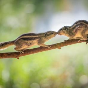 �������� ����