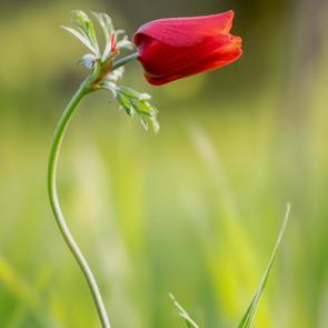 �������� �����