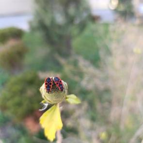 ����: ������