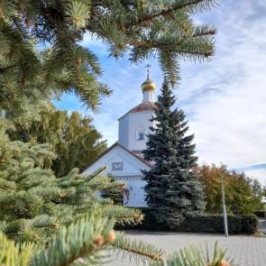 ����: ������ ������