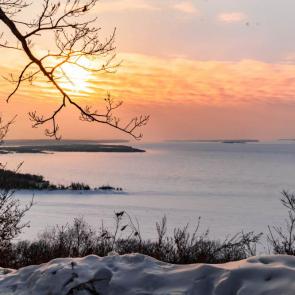 ����: ������ �����