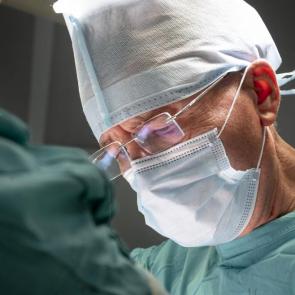 ����: ������������