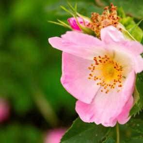 ����: �������� ���������