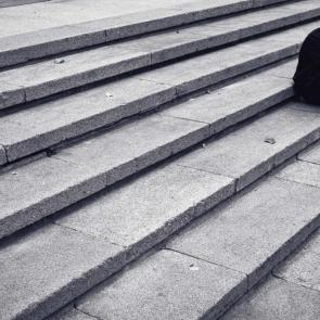 ���� ��������: 