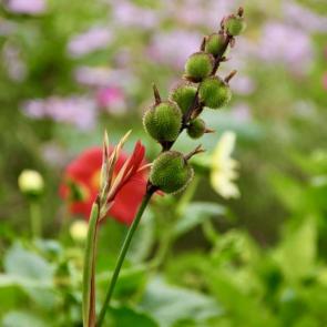 ��������