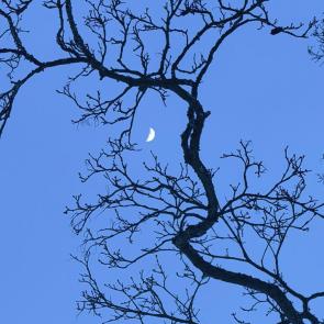 ����: ��������� �������