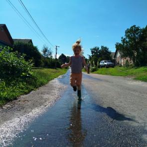 ����: ����������� �������