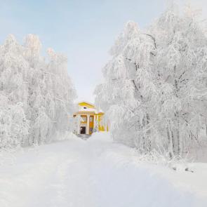 ������ ������