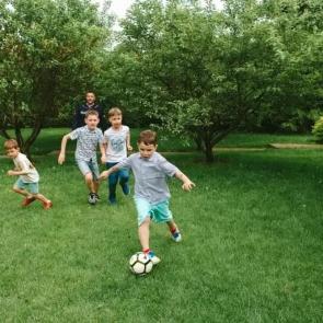 ����: ����������