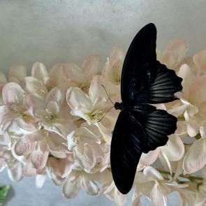 ����: �� ��������� 