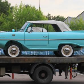 ����: ������� 