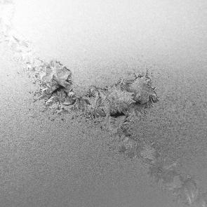 ����: ����� ���������