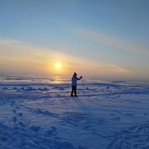 ����: ���������