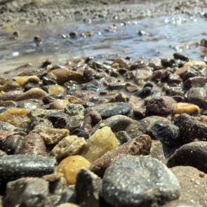 ����: ����