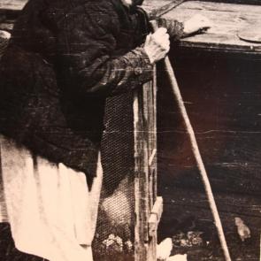 ����: ������ � �����.