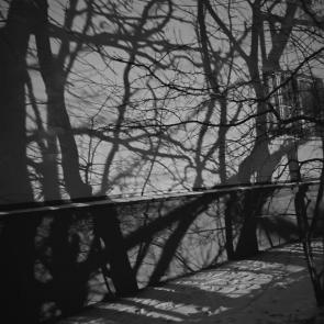 ����: ������� �������� �����