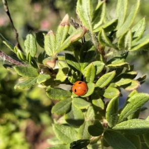 ����: ����� ������� 