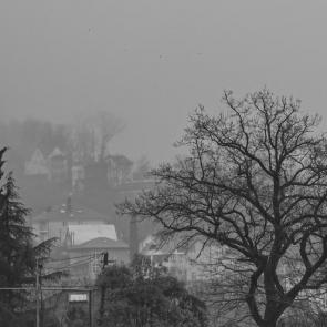 ����: �����