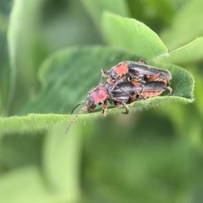 ����: ���� ���������