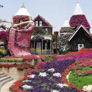 ����: ��������� ��� 