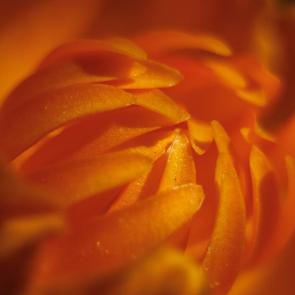 ����: � �������� ���������...