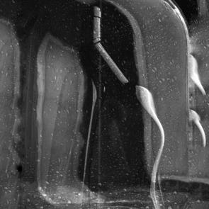 ����: ���� ��� ������