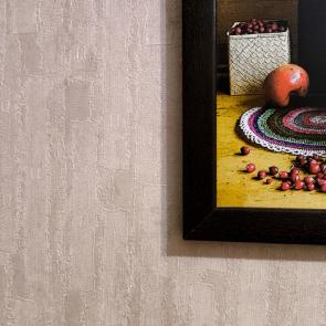 ����: �������