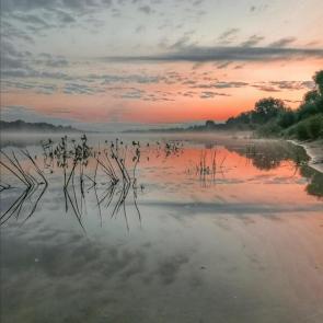 ����: ���� �� �.���