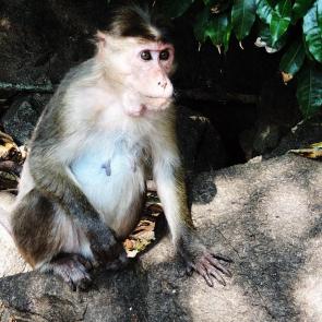 ����: � �������� ��������