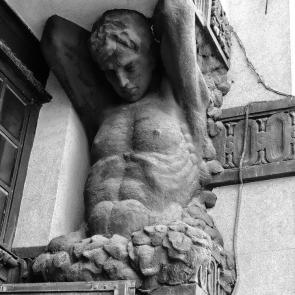 ����: ������