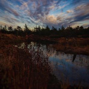 ����: ����� ��� �������