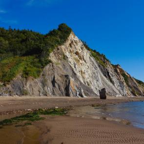 ����: ����� �.�������