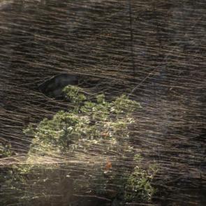 ������ � �����