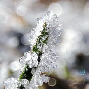 �������������� ���������������