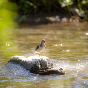 ����: ��� � �� �� �����?