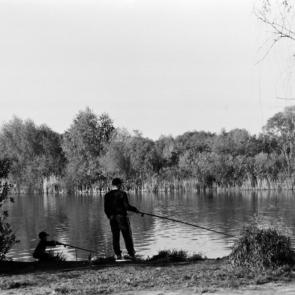 ���� ��������: �� �������