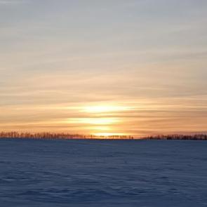 ����: ������ ��������