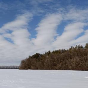 ����: ������ ����