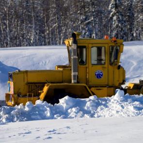 ����: ������� ����