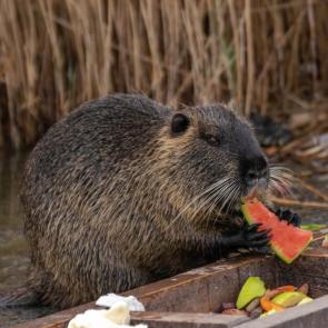 � ���� ����-������������