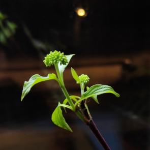 ���� ��������: �������� �����