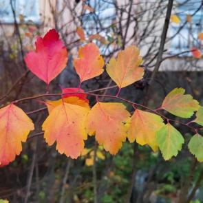 ������ � �����