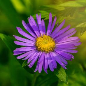 ����: ����� ����������