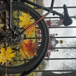 ����: ��������