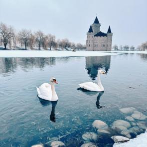 ����: ������ 