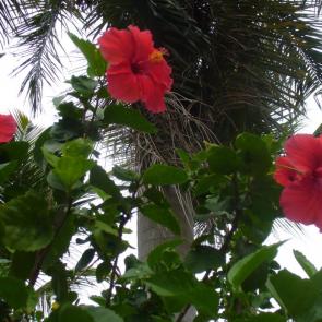 �������� �����